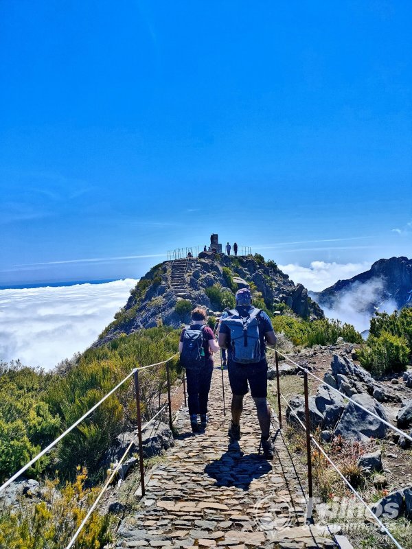 PR1 - Vereda do Areeiro - Madeira