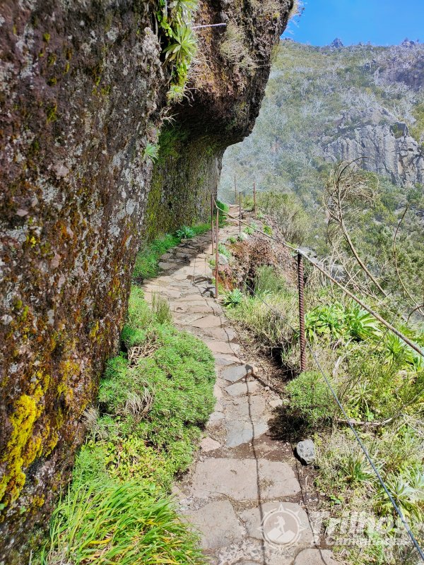 PR1 - Vereda do Areeiro - Madeira